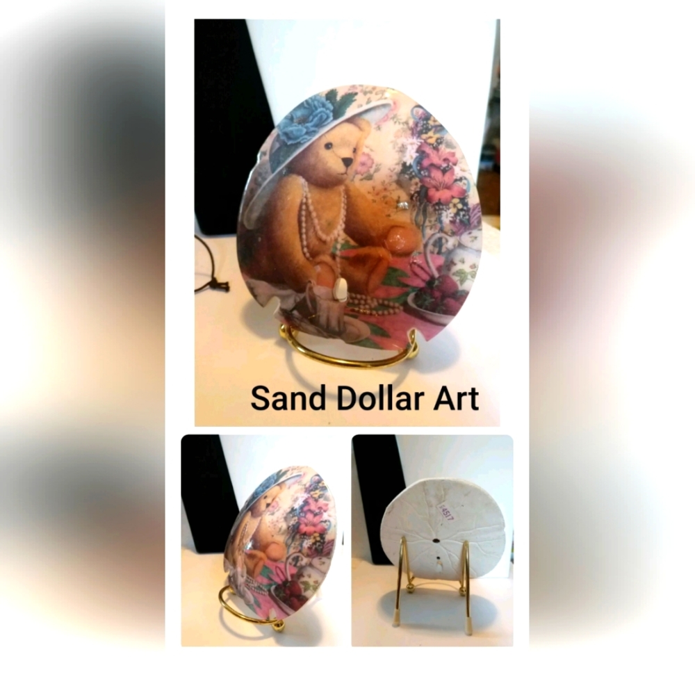 Sand Dollar Shell Bear Art Collectible